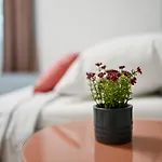 Peaceful Apartment Near Old Town